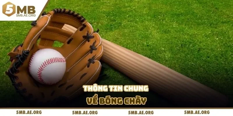 Cá Cược Bóng Chày 5MB - Thông Tin Khái Quát Cho Bạn Mới 2 Thông tin chung về bóng chày
