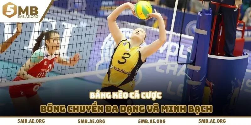 Cá Cược Bóng Chuyền – Trải Nghiệm Đỉnh Cao Tại 5MB 3 Bảng kèo cá cược bóng chuyền đa dạng và minh bạch