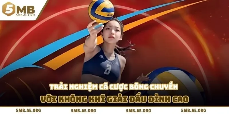 Cá Cược Bóng Chuyền – Trải Nghiệm Đỉnh Cao Tại 5MB 2 Trải nghiệm cá cược bóng chuyền với không khí giải đấu đỉnh cao
