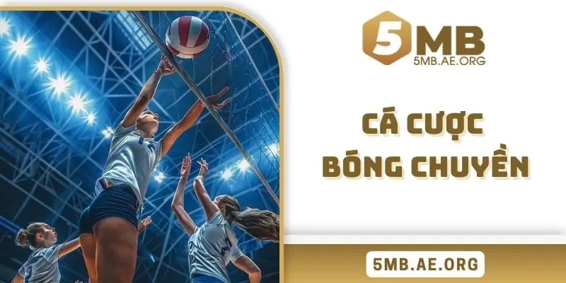 cá cược bóng chuyền