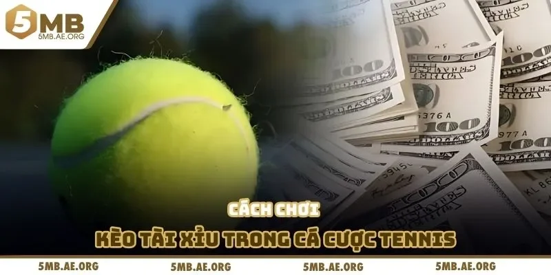 Cá Cược Tennis - Hiểu Kèo, Cách Chơi & Bí Quyết Thắng Lớn 3 Cách chơi kèo Tài Xỉu trong cá cược Tennis