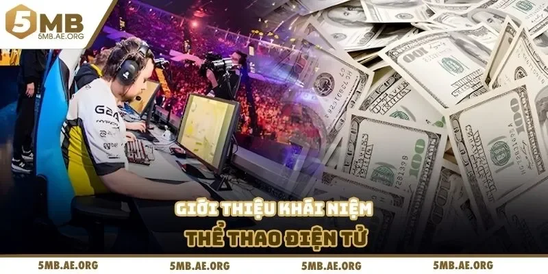 Thể Thao Điện Tử 5MB - Các Bộ Môn Esport Hot Nhất 2025 2 Giới thiệu khái niệm thể thao điện tử